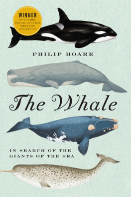 Philip Hoare The Whale: In Search of the Giants of the Sea