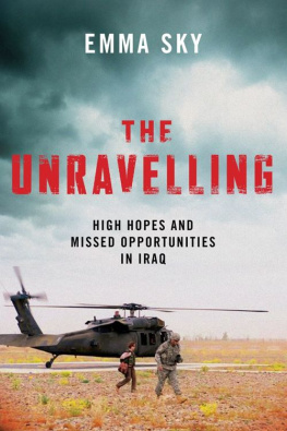 Sky The unravelling : high hopes and missed opportunities in Iraq