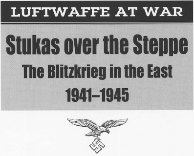 Luftwaffe 9 Stukas Over Steppe - image 3