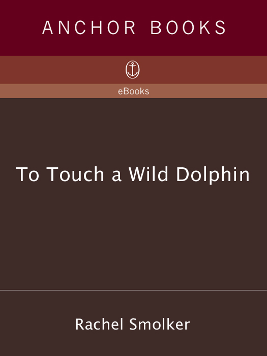 ACCLAIM FOR RACHEL SMOLKERS TO TOUCH A WILD DOLPHIN To Touch a Wild Dolphin - photo 1