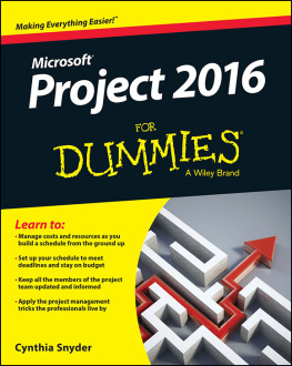 Snyder Project 2016 for dummies