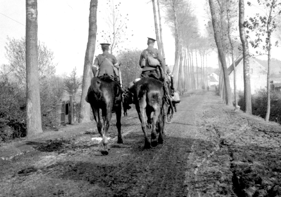 The roads are lined with tall trees Dispatch riders on a typical tree-lined - photo 6