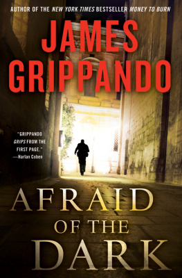 James Grippando Afraid of the Dark (Jack Swyteck)