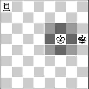 D1 The protection zone of the king If the white king isnt directly opposite his - photo 1