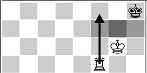 D6 The king in the corner D7 Mate on the h-file The mate becomes even easier - photo 6