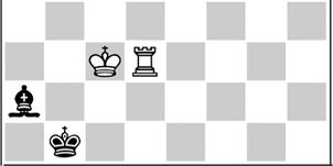 D9 The bishop blocks the a2-square Quiz 1 Mate with the Rook In all the - photo 9