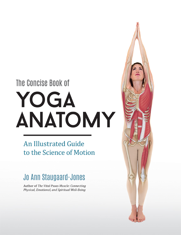 The Concise Book of Yoga Anatomy An Illustrated Guide to the Science of Motion - image 1