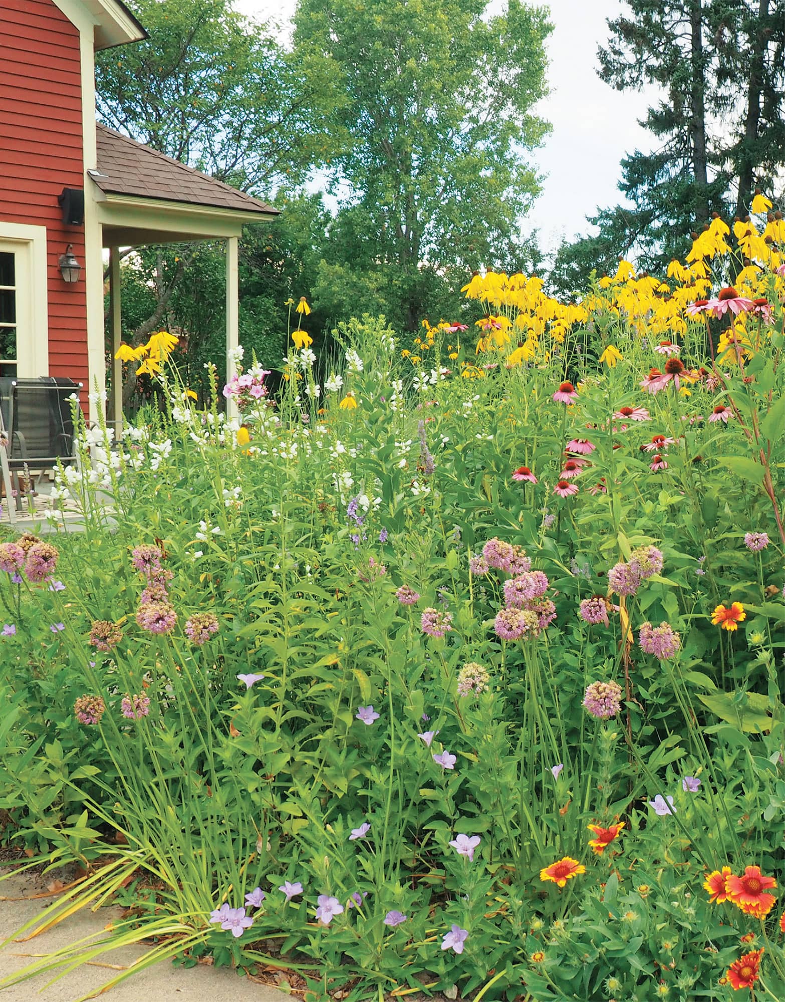 Nothing says Midwestern like a prairie garden Lynns garden in Minnesota - photo 5