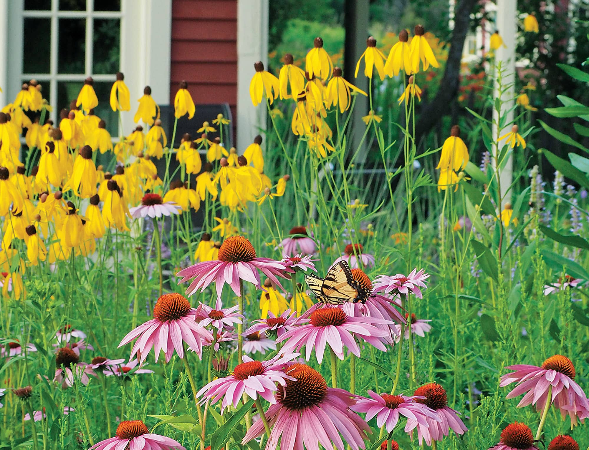 Lynn M Steiner Contents CHAPTER ONE What Are Native Plants Why Should We - photo 3