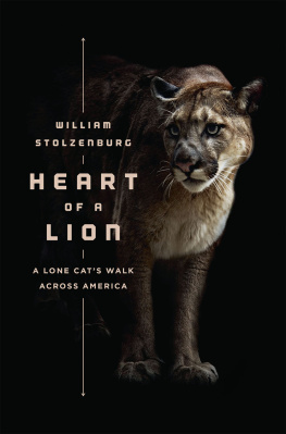 Stolzenburg Heart of a Lion: A Lone Cats Walk Across America