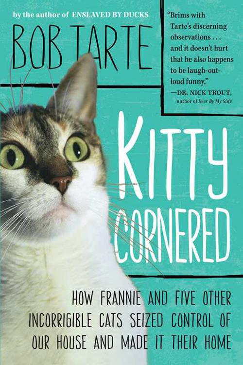 Kitty cornered how Frannie and five other incorrigible cats seized control of our house and made it their home - image 1