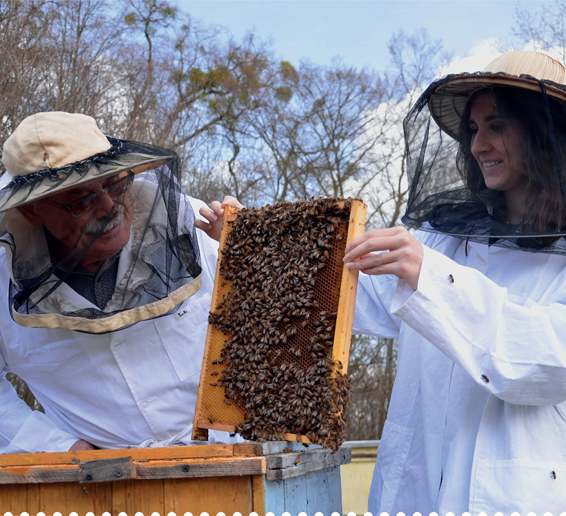 Information about beekeeping is widely available both in print and online but - photo 4