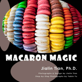 Tian Jialin - Macaron Magic