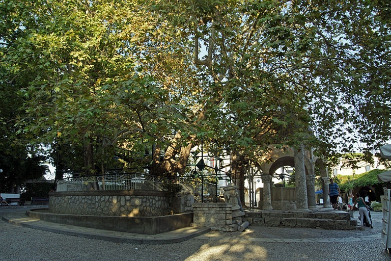 The Tree of HippocratesKos Greece I have had the honor of standing by one of - photo 2