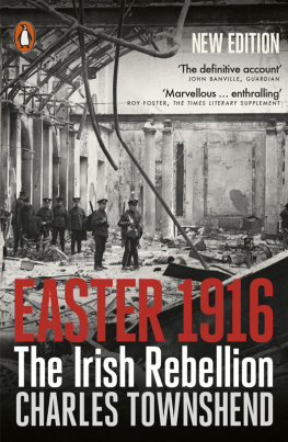 Townshend Easter 1916: The Irish Rebellion