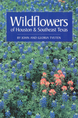Tveten Gloria A. - Wildflowers of Houston and Southeast Texas