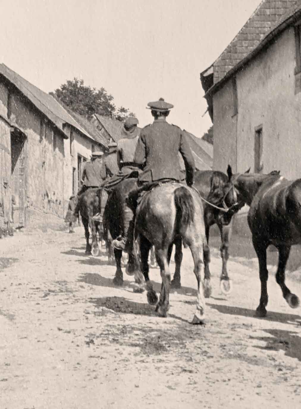 Horses belonging to the 16th Seaforth Highlanders are taken through a village - photo 10