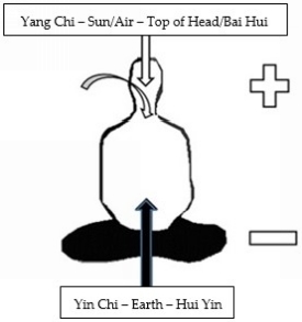 Both yin chi and yang chi flow within the etheric body The vital energy known - photo 4