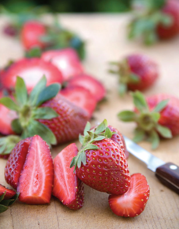 Strawberry and Cream Cheese French Toast Roll-Ups 8 slices bread white - photo 6