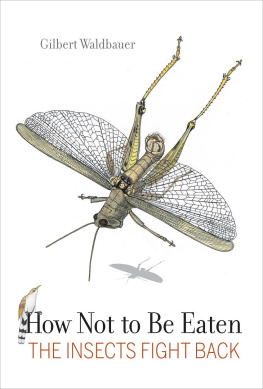 Gilbert Waldbauer - How not to be eaten : the insects fight back