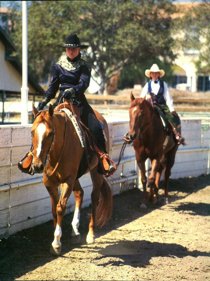 A slow steady horse can do great in western pleasure classes CHAPTER ONE - photo 7