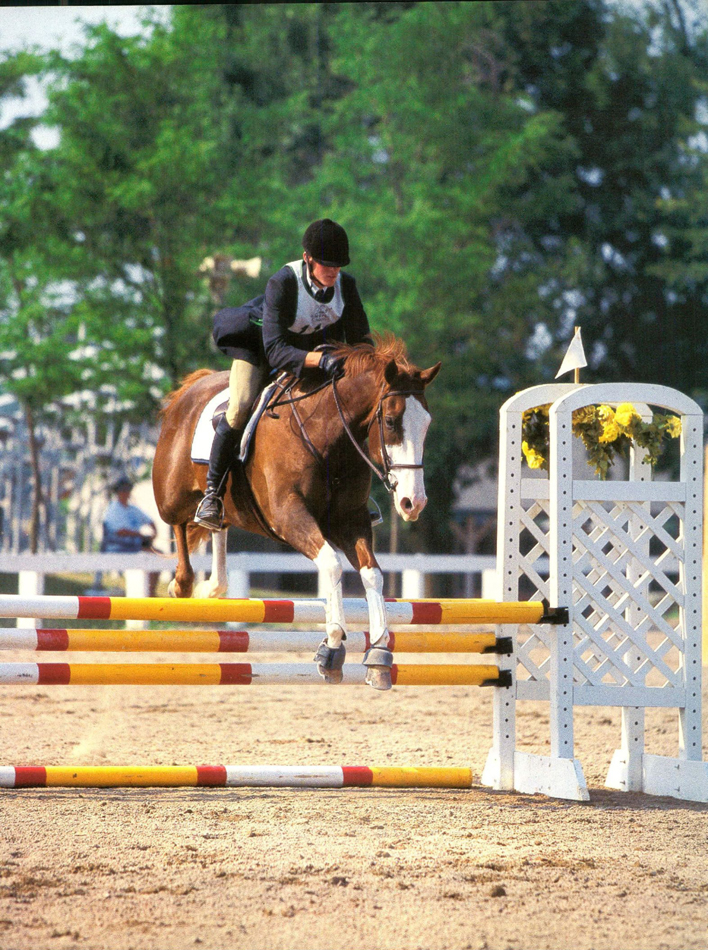 Do you want to compete in show jumping classes with your horse Before you - photo 9