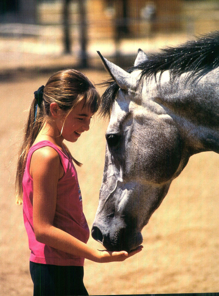 Your horse is your best friend so spend as much time with him as you can - photo 6