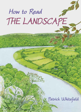 Whitefield - How to read the landscape