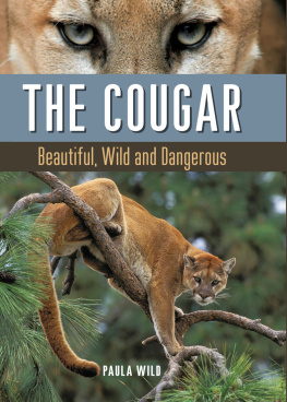 Wild - The Cougar : Beautiful, Wild and Dangerous