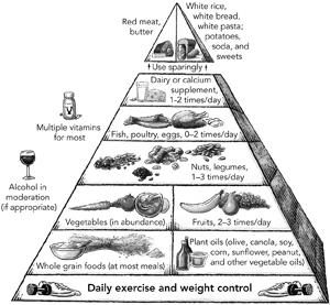 FIG 2 Healthy Eating Pyramid This pyramid based on solid science offers - photo 2