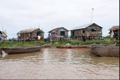 Wherever you travel throughout Cambodia youll always see one thing rice - photo 4