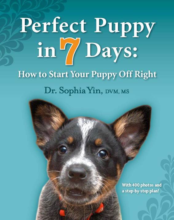 Perfect Puppy in Seven Days How to Start Your Puppy Off Right By Sophia Yin - photo 1