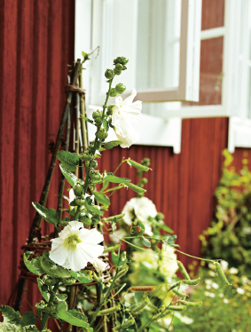 Along a narrow winding country lane lies this beautiful Falun red house that - photo 16