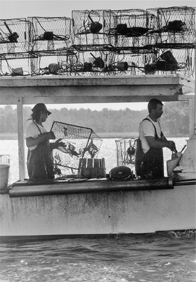 CHESAPEAKE BAY COOKING with JOHN SHIELDS PHOTOGRAPHS BY JED KIRSCHBAUM 25th - photo 1