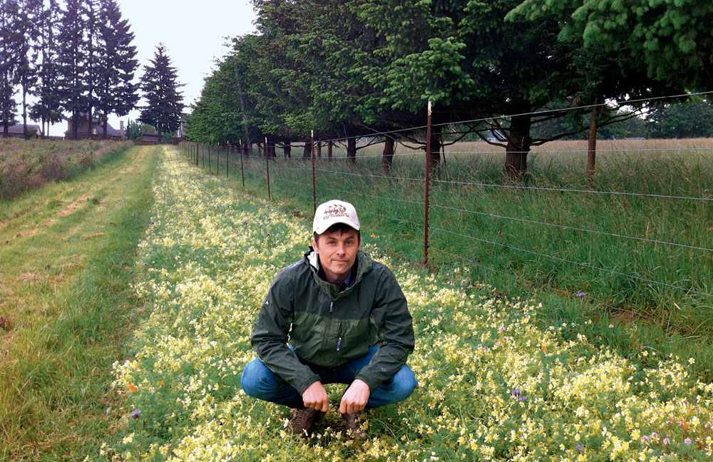 The native wildflowers established along this fence line contribute to pest - photo 7