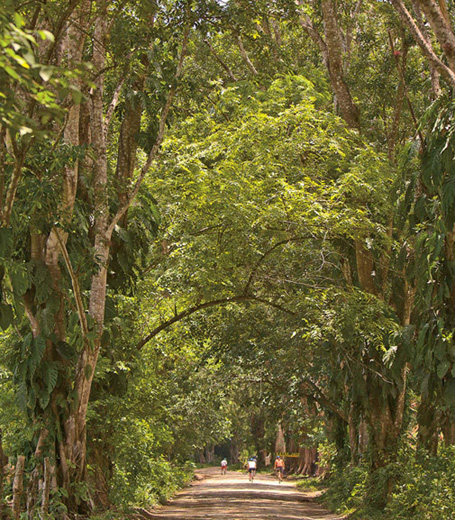 Fifty Places to Bike Before You Die Biking Experts Share the Worlds Greatest Destinationsby Chris Santella - image 2