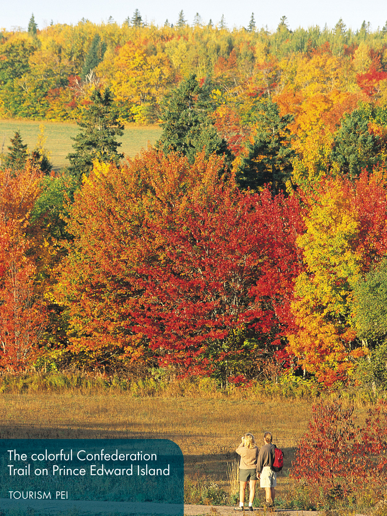 Fodors travel Nova Scotia Atlantic Canada with New Brunswick Prince Edward Island with Newfoundland writers Karen Coates and 5 others - photo 5