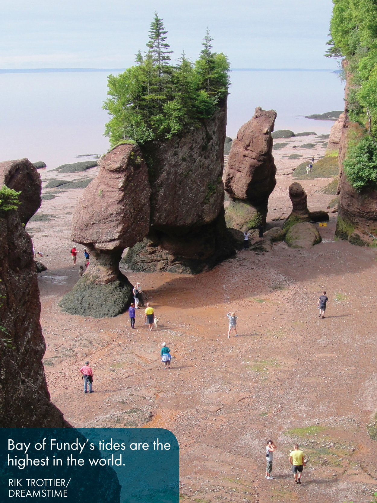 Fodors travel Nova Scotia Atlantic Canada with New Brunswick Prince Edward Island with Newfoundland writers Karen Coates and 5 others - photo 7