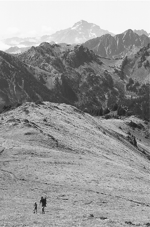 Hiking up Mount Townsend The Making of the Mountains The Olympic Peninsula - photo 7