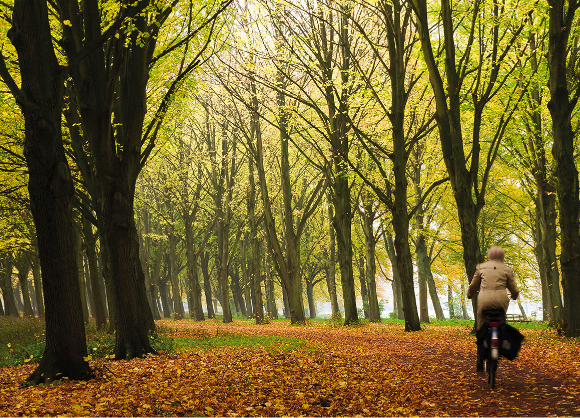 Escaping the Crowds Its easy to escape the city by taking a bike north along - photo 5