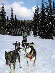 Dog sleddingLeslie ForsbergMichelin Gates of the ArcticLeslie - photo 7