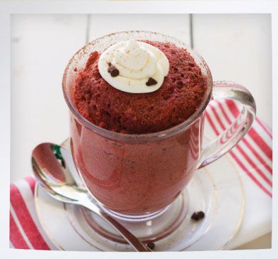 The Absolute Best Mug Cakes Cookbook Quick Start Guide HUNGRY SEE FOR - photo 1