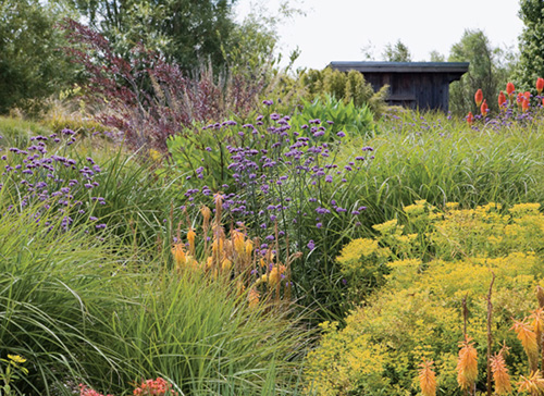 The American Meadow Garden Creating a Natural Alternative to the Traditional Lawnby John Greenlee and Saxon Holt - image 1