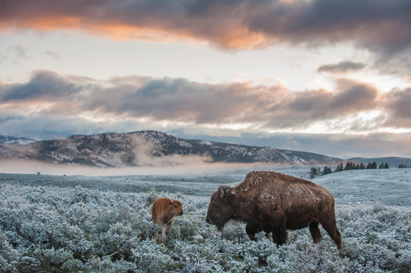 Yellowstone National Park There can be nothing in the world more beautiful than - photo 8