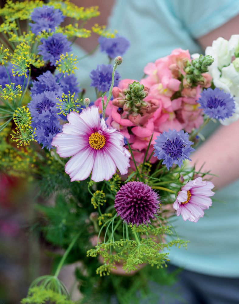 Scented daffodils are the perfect alternative to the ubiquitous red rose for - photo 7