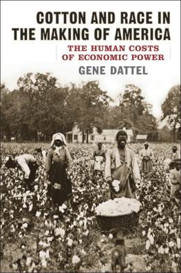 Dattel - Cotton and race in the making of America : the human costs of economic power