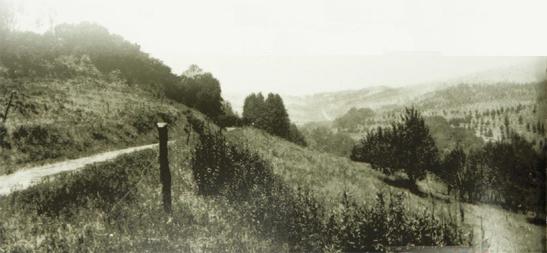 Fig 01 This photo of the East Bay shows the open rolling hills and - photo 4