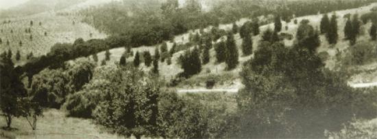 Fig 02 Joseph Worcester and a group of boys atop Russian Hill San - photo 5