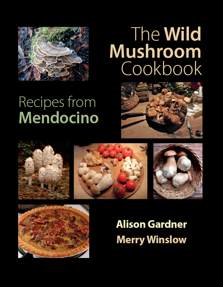 The wild mushroom cookbook recipes from Mendocino - image 1