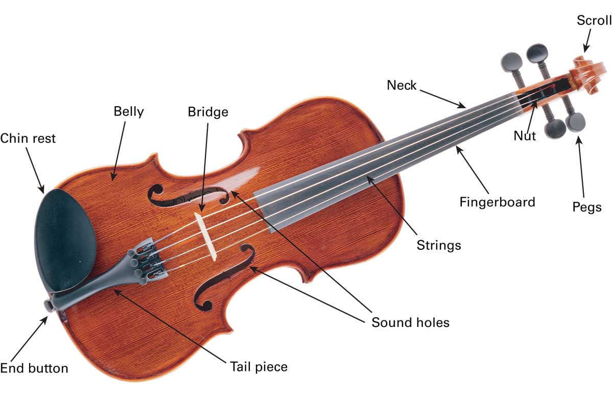 How to Hold the Violin and Bow Here are the correct positions for holding the - photo 13